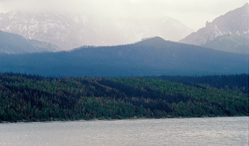 [Lake water in the foreground with a section of trees not covered in fog just beside it. This is the section with brown and green in a haphazard fashion. Further back is a section of forest which does not seem like it was affected by the fire. Behind that are mountains with patches of snow on them, but they are mostly obscured by the fog.]